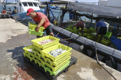 Un home carrega peix d'una de les 23 embarcacions que ahir es van fer a la mar.