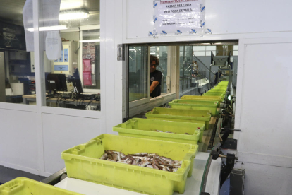 La llotja va vendre ahir 6.100 quilograms de peix, principalment blanc.