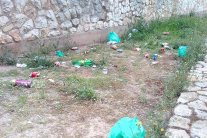 Imatge d'ampolles i llaunes escampades al passatge Josepa Massana.