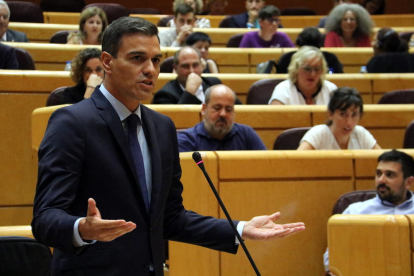 Plano medio de la intervención del presidente español, Pedro Sánchez, en el Senado.