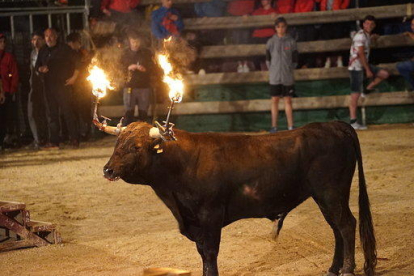 Imagen de un acto con toros en Mas de Barberans.