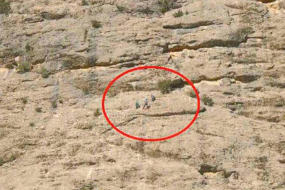 Imatge dels tres escaladors sancionats mentre duien a terme l'activitat.