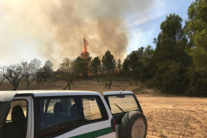Els Agents Rurals han estimat en 5.163 metres quadrats la superfície afectada pel foc.