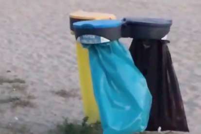 Captura del vídeo de les rates a la platja.