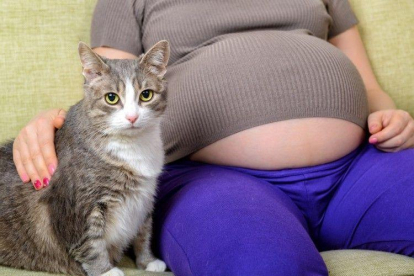 Dona embaraçada i el seu gat.
