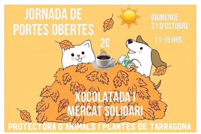 Cartell de la jornada de la Protectora d'Animals