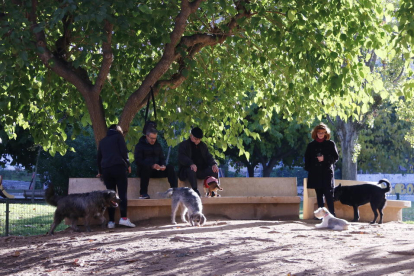 Varios perros, con sus propietarios, en un pipi-can del Parc de la Ciutat de Tarragona.