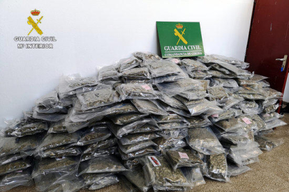 Varias bolsas llenas de marihuana apiladas.