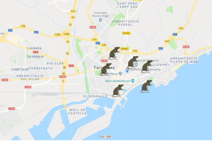 Imagen del mapa en que se indica en qué zonas de Tarragona se han visto ratas.