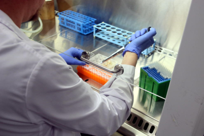 Pla mediano de un investigador, de espaldas, llenando pipetas en un laboratorio del VHIO