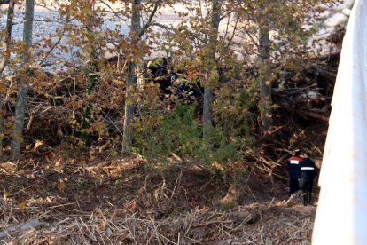 Un grup de Bombers treballant entre els arbres, a la llera del riu Francolí, per retirar les despulles localitzades, sota el pont de l'N-240 a Montblanc