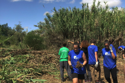 L'activitat es duu a terme des del 6 al 20 de juliol.