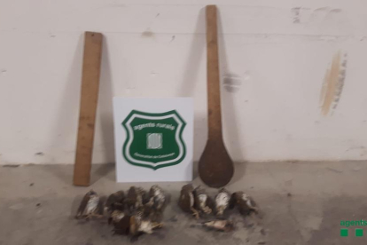 Los Agents Rurals intervinieron los utensilios utilizados para cazar y una decena de pájaros muertos.