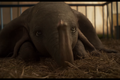 Imagen de Dumbo en el trailer publicado por Disney.