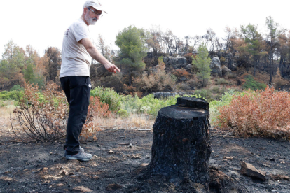 El director técnico del Grup de Natura Freixe, Pere Josep Jiménez, mostrando una cepa chamuscada por el incendio de la Ribera d'Ebre, que la entidad justo había cortado para desbrozar una finca en Flix.