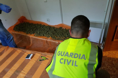 Los agentes intervinieron 3,8 kilos de ovillos de marihuana en un secadero acondicionado.