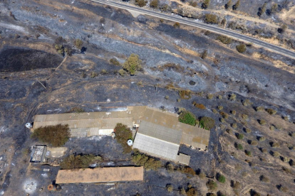 Imatge aèria captada amb dron de l'incendi de la Ribera d'Ebre on es pot veure una granja de bestiar afectada pel foc