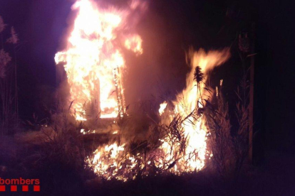 Imatge del foc que va cremar 1.900 metres quadrats de vegetació a Poble Nou del Delta.