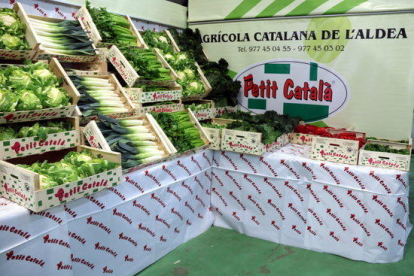 Pla general amb un estand promocional de les hortalisses que comercialitza la Cooperativa de l'Aldea.