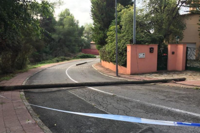 Pals elèctrics al bell mig d'un carrer de Cala Romana, a causa del temporal del 6 d'octubre.