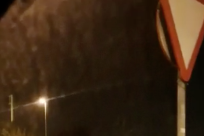 Una captura del vídeo on es pot veure el porc senglar.