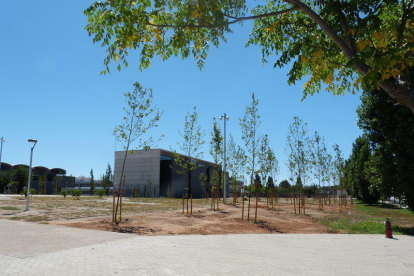 La nueva biblioteca, en la avenida Pau Casals, es una de las inversiones previstas. Solar donde se hará.