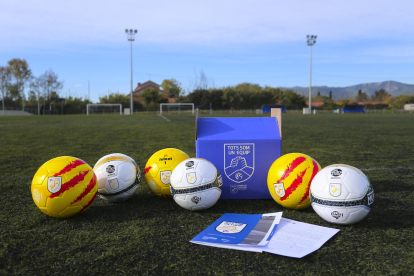 Las pelotas que ha entregado la entidad catalana a los equipos.