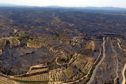 Imagen aérea de los daños causados por el incendio de la Ribera d'Ebre