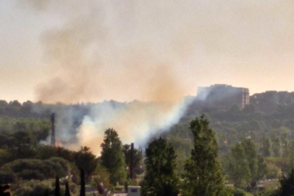 Imagen del incendio de vegetación en el paseo 30 d'Octubre de Salou.