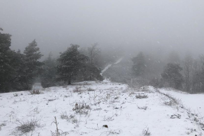 Imagen del municipio de Prades nevado.