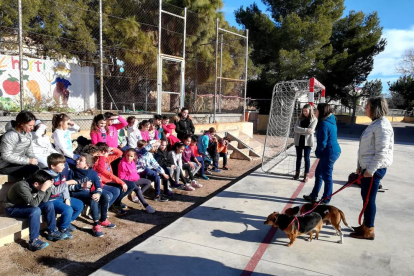 Els tallers s'han fet en dues sessions a les escoles Salvador Espriu i El Cucurull.