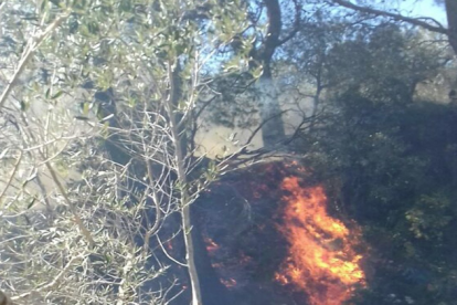 Imatge de l'incendi de vegetació.