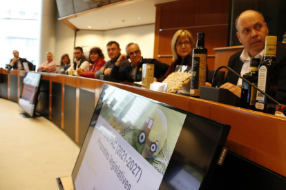 La reunió d'alcaldes, regidors i alcaldables del Baix Camp i Ebre amb el representant de la Direcció General d'Agricultura, Ricard Ramon Sumoy, al Parlament Europeu, amb mostres d'olis i avellanes.