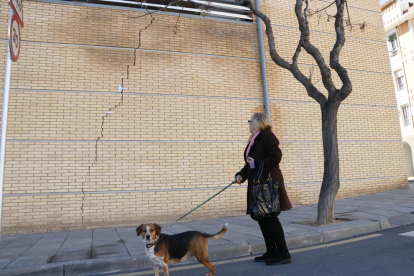 Una veïna i el seu gos, aturada al carrer mirant una gran esquerda a la façana del poliesportiu de Constantí.