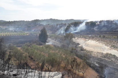 El foc ha cremat, provisisionalment, 14 hectàrees.