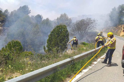 Imagen de los Bomberos trabajan en la extinción del incendio declarado a Cornudella.