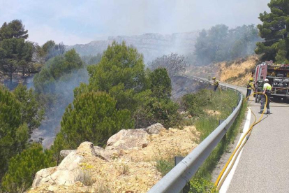 Imagen de los Bomberos trabajan en la extinción del incendio declarado en Cornudella.