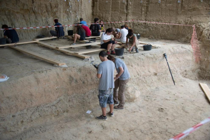 Plan|Plano general de varios arqueólogos durante la duodécima campaña de excavaciones en la Mina, en el Barranco de la Boella, en septiembre del 2019