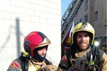 Dos Bombers con los perros rescatados en el Morell.