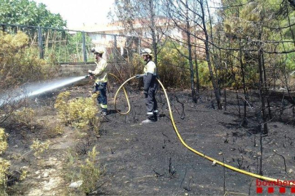 Imatge dels Bombers treballant en l'incendi forestal de Sant Salvador.