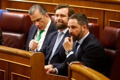 Los diputados de Vox Santiago Abascal y Ortega Smith sentados en sus escaños del Congreso en la constitución de la cámara.
