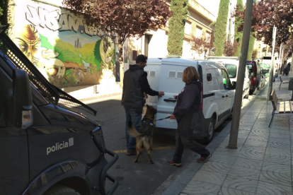La unidad canina de los Mossos d'Esquadra participa en el operativo policial.