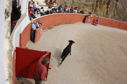 Capea celebrada a la ramaderia Mur d'Alfara de Carles amb el torero Serafin Marín l'any 2010.