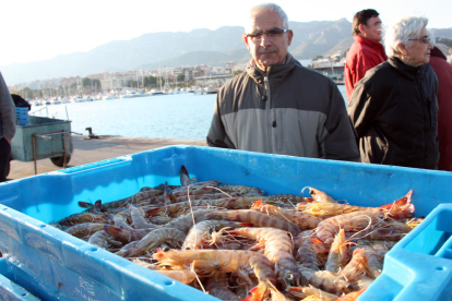 Un home observant una caixa de llagostins acabada de descarregar al moll pesquer de Sant Carles de la Ràpita en una imatge d'arxiu.