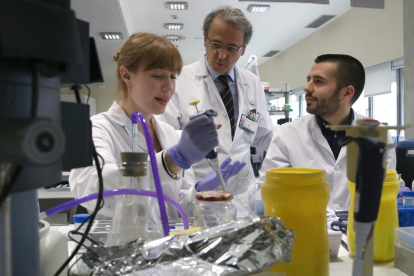Imagen del jefe del grupo de investigación translacional en oncología hepática, Josep Maria Llovet con dos investigadores más del IDIBAPS.