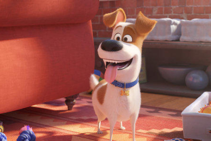 El protagonista de 'Mascotas 2', el perro Max, en la segunda parte de la secuela de animación.