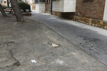 Un dels carrers del barri amb brutícia provocada per actes incívics.