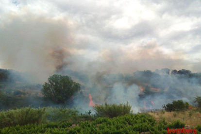 Imatge de les flames de l'incendi de Corbera.