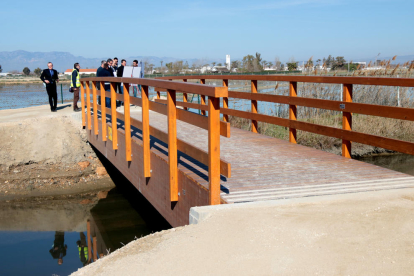 Pla general d'un pont de fusta del camí de guarda costanera per salvar un desguàs a la zona de Poble Nou del Delta.