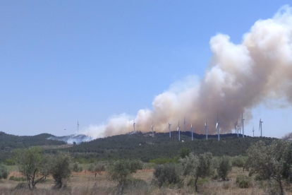 Imagen de la humareda de un incendio en la Collada del Perelló.